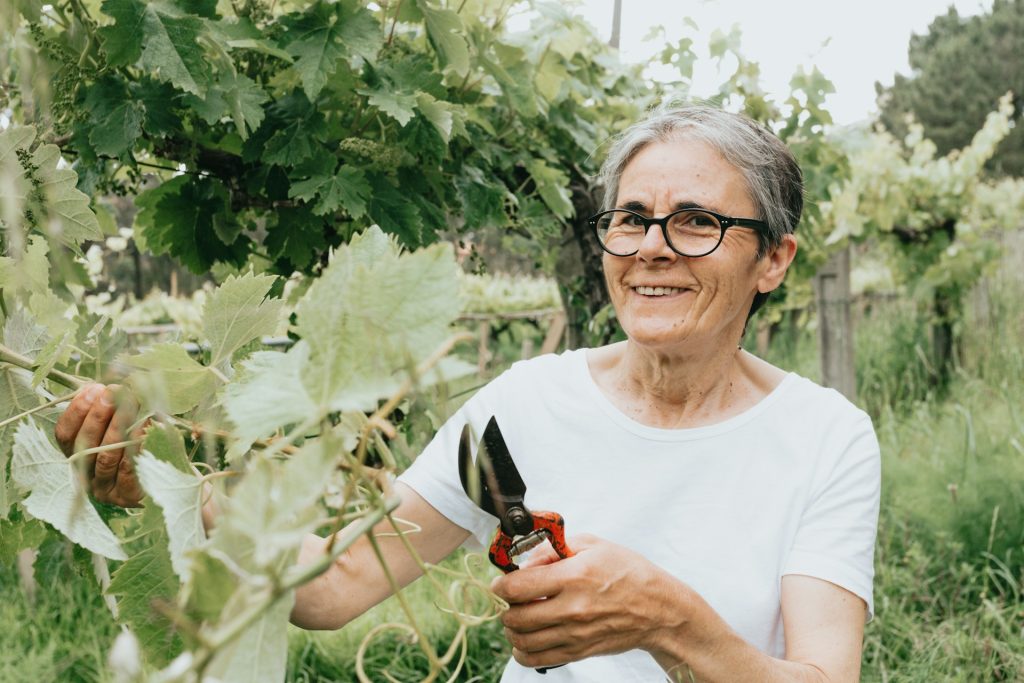 An old woman holding a garden scissor